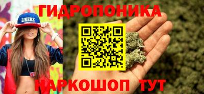 амф Обнинск
