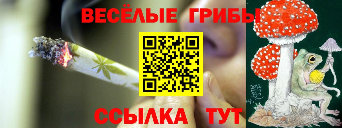 Искитим  где продают   Вход с VPN  Псилоцибиновые грибы Psilocybe  Псилоцибиновые грибы прущие грибы 