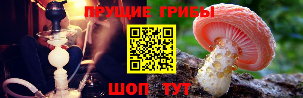 Псилоцибиновые грибы Cubensis Искитим